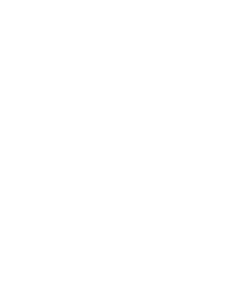 El Ébano, Seguridad y Vigilancia